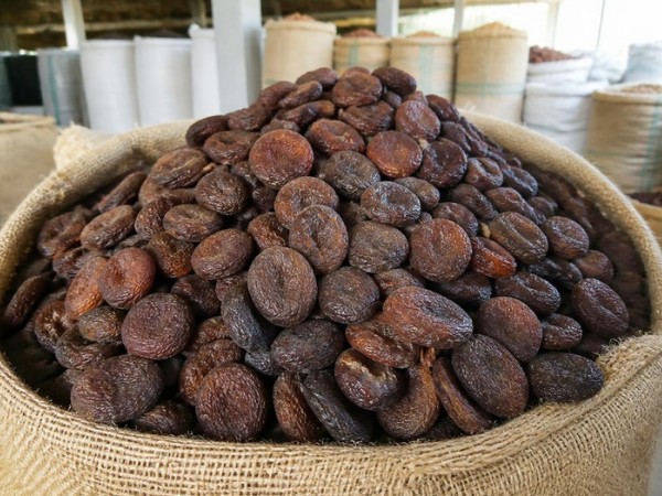Organic Dried Apricot – Unsulphured
