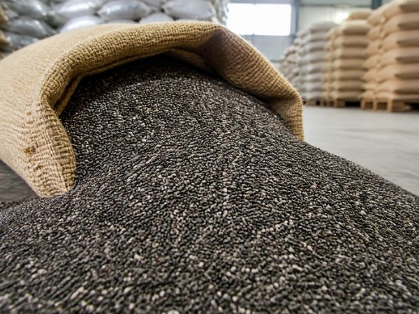 Organic Chia Seed – Black
