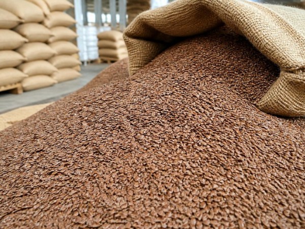 Organic Flax Seed – Brown