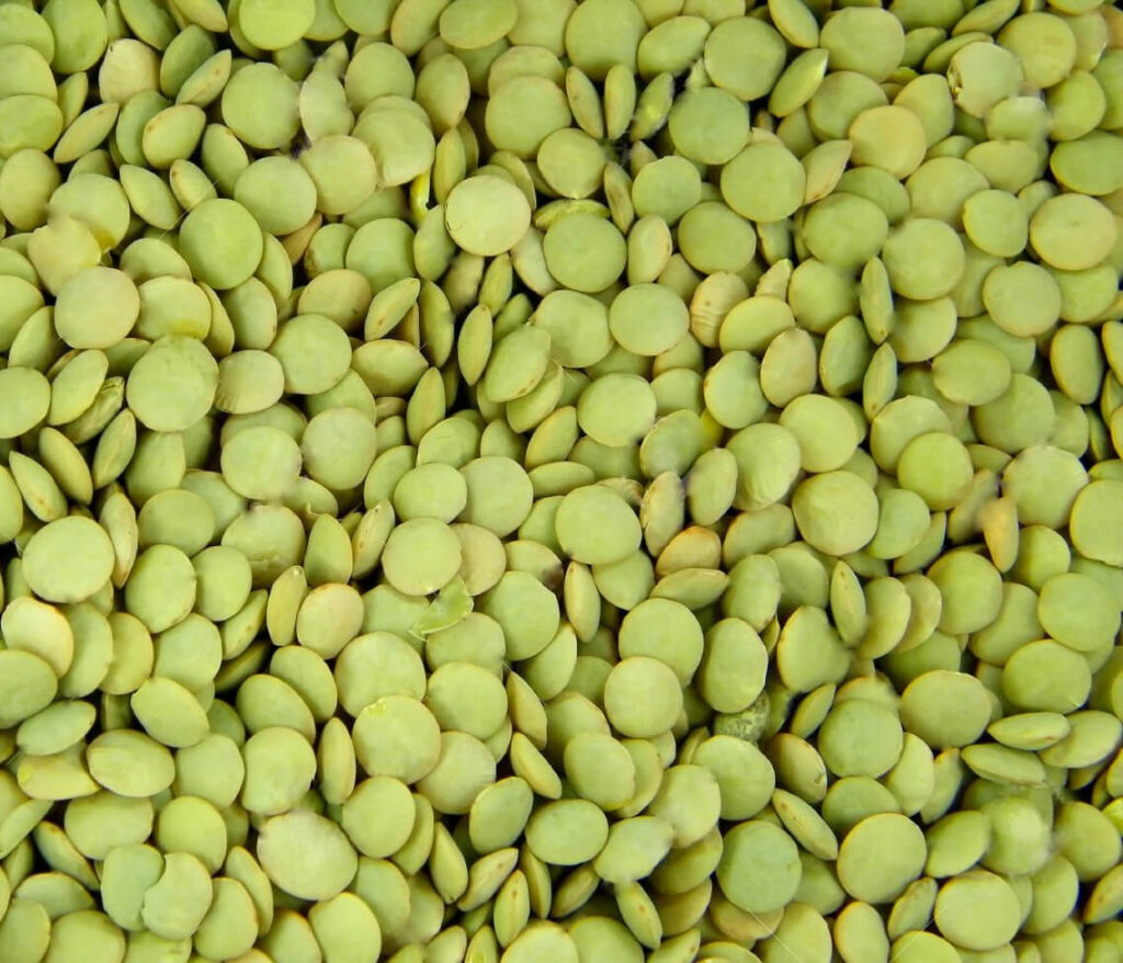 Organic Lentils – Green