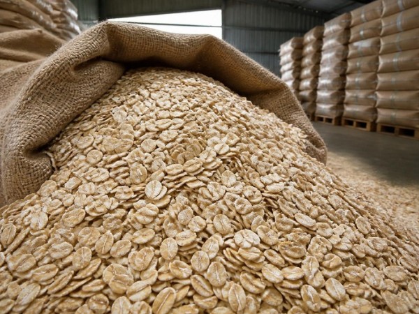 Organic Oats – Rolled